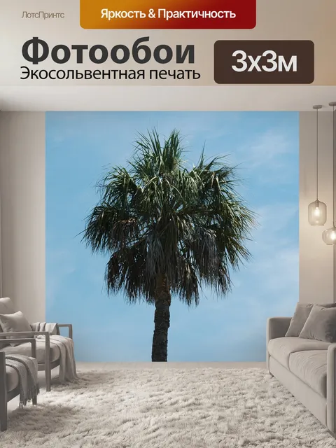 Фотообои Пальма