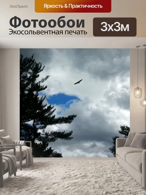 Фотообои Urubu в облачное небо