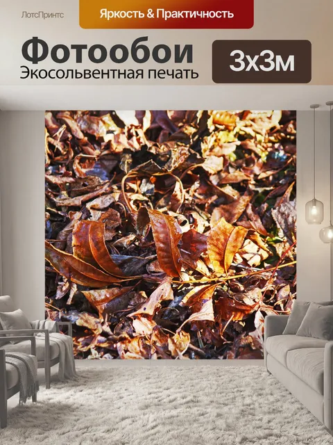 Фотообои сухие опавшие листья дерева пекан