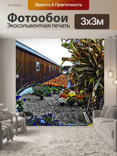 Фотообои Тыква Harvest