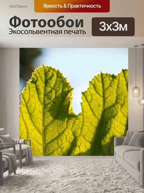 Фотообои светящийся прожилковый зеленый лист