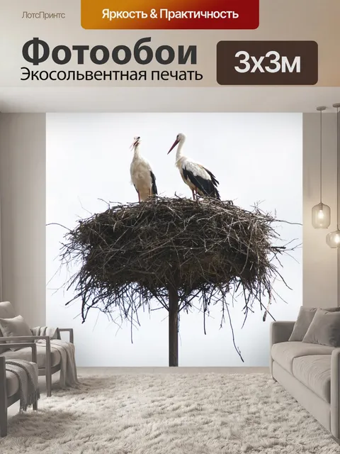 Фотообои Белый аист