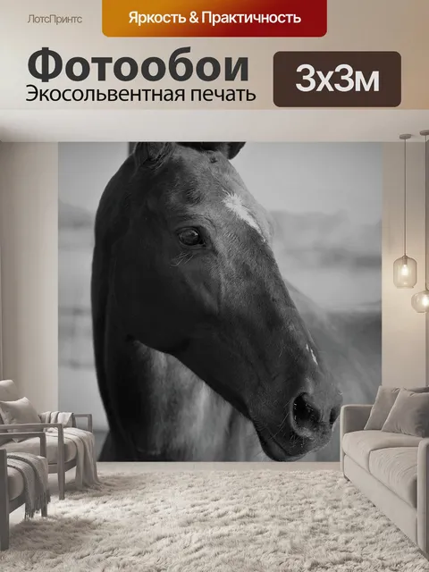 Фотообои Лошадь