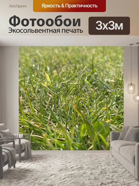 Фотообои Парк