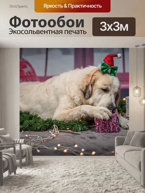 Фотообои Собака