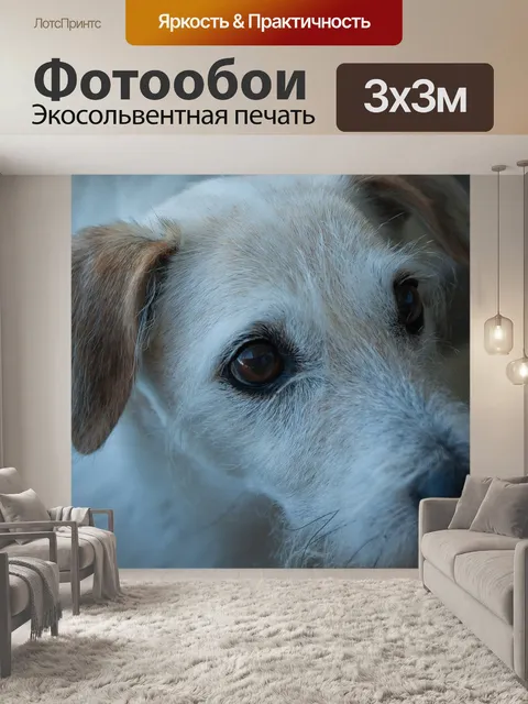 Фотообои Собака