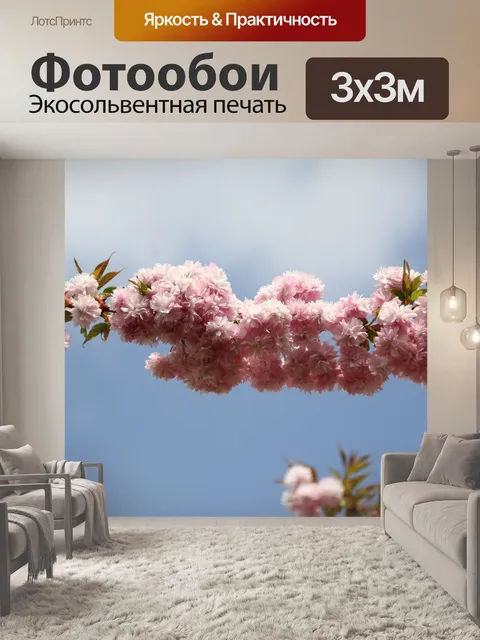 Фотообои Чернослив
