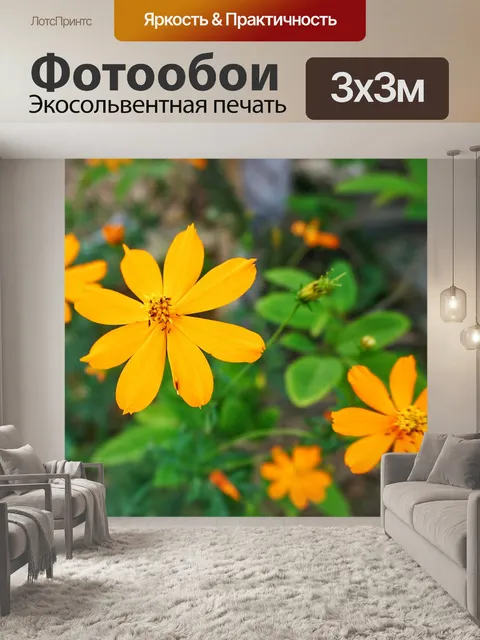 Фотообои Цветок