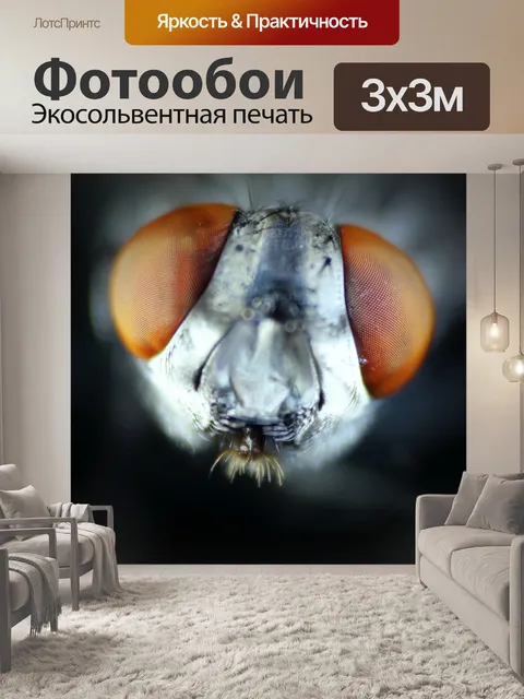 Фотообои Летать