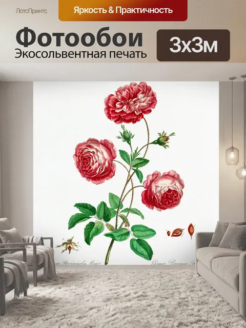 Фотообои Урожай роза искусство старый