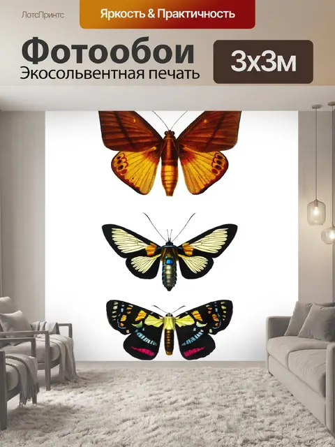 Фотообои Бабочки мотылек винтажное искусство