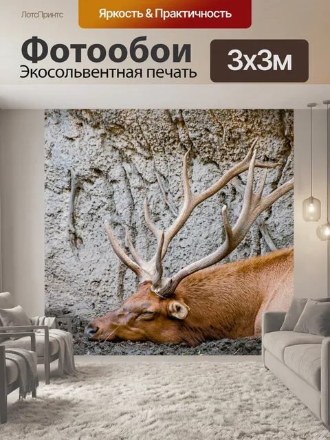 Фотообои Лось