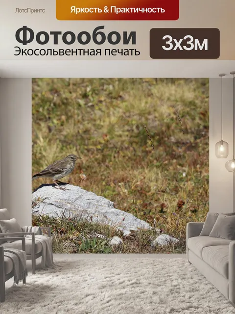 Фотообои Птица