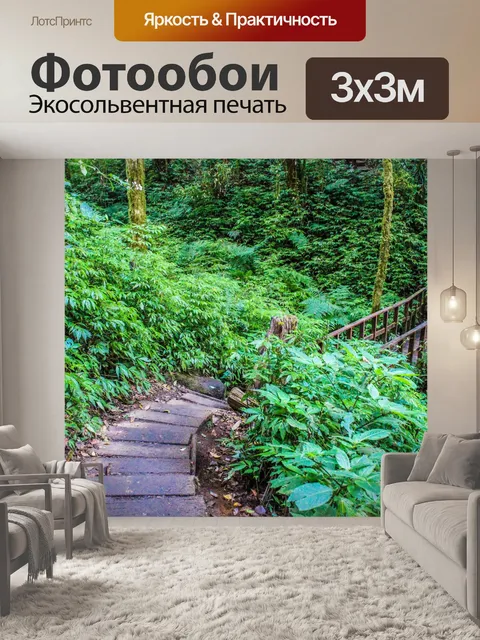 Фотообои Тропический лес в Дои Интанон, Чиангмай