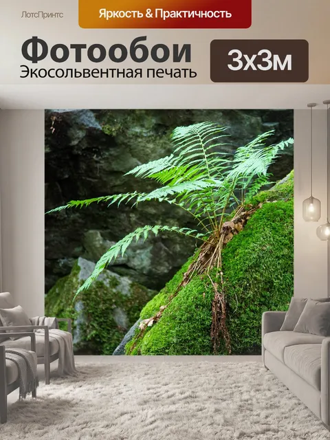 Фотообои Папоротник
