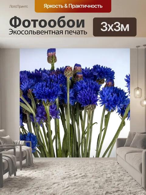 Фотообои Васильковый