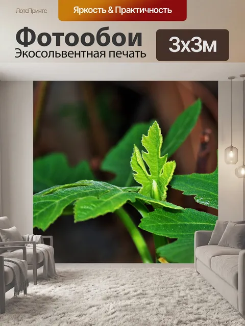 Фотообои новый фиговый листок