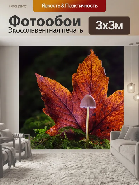 Фотообои Гриб