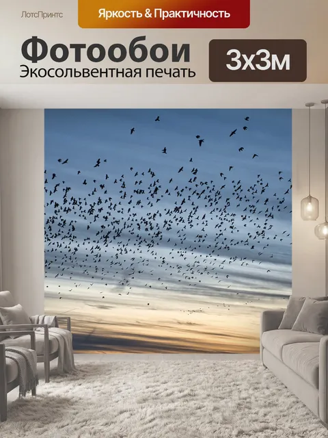 Фотообои Стая птиц