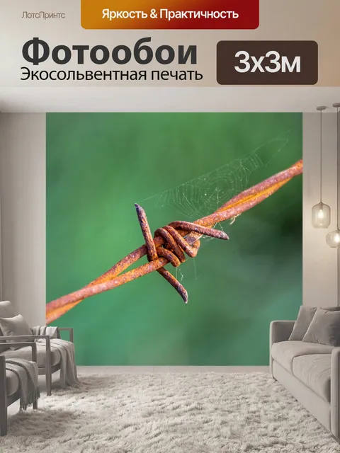 Фотообои Колючая проволока