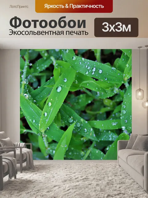 Фотообои сорняки блестящие после дождя