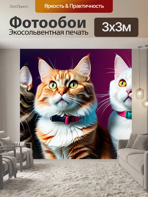 Фотообои с котами купить смешной