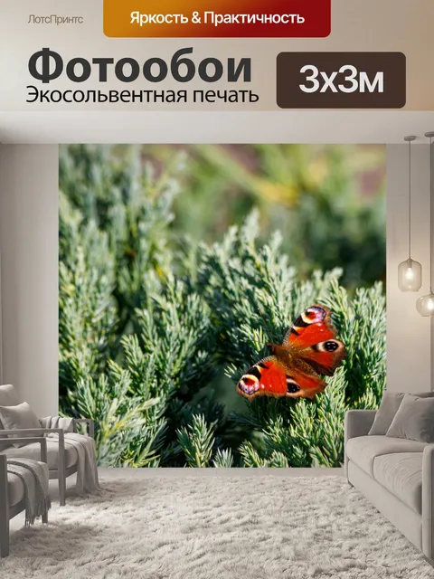 Фотообои Садовая бабочка