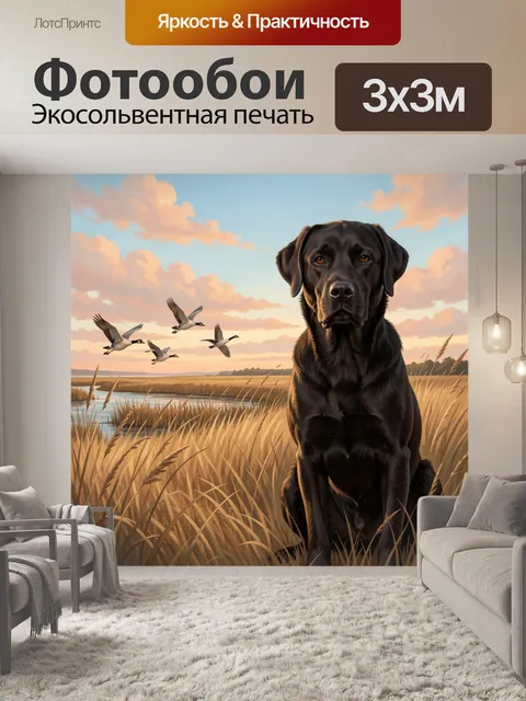 Фотообои Чёрный лабрадор в поле