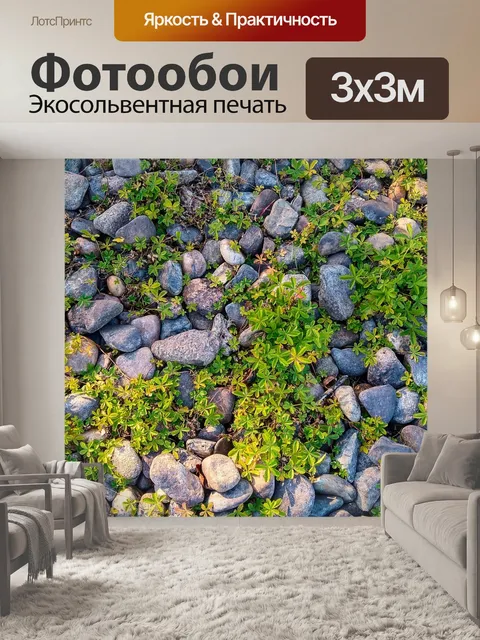 Фотообои Дрезден