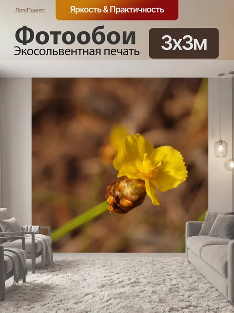 Фотообои Цветки одичалые Стоковая Фотография