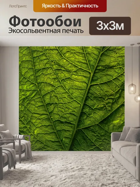 Фотообои Макросъемка зеленого листа