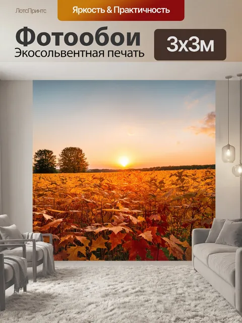 Фотообои закат над полем, зарытым в золотые и красные листья