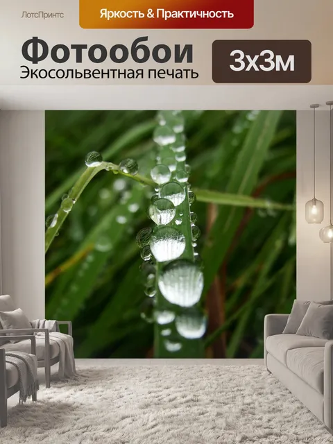 Фотообои Капли воды