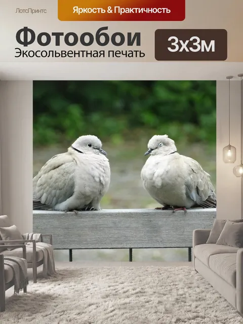 Фотообои Голуби