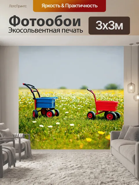 Фотообои уютное поле, усеянное цветами, где небольшие детские тележки стоят на траве, готовые к покорению трассы