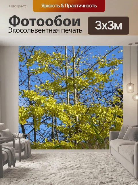 Фотообои Гинкго