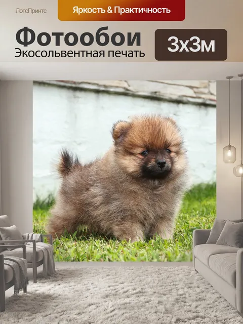 Фотообои Щенок