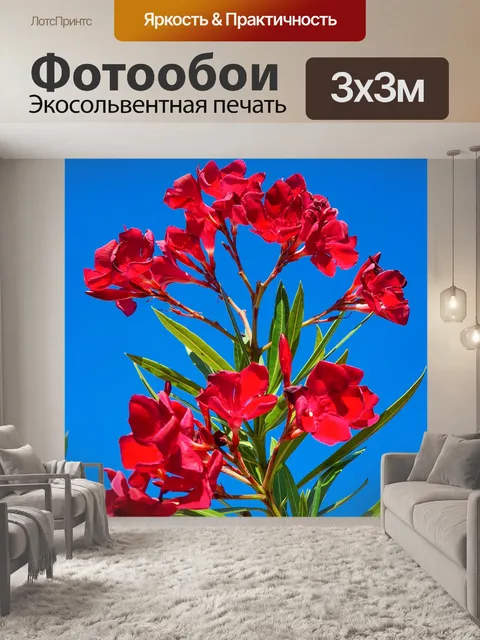 Фотообои Цветы олеандра