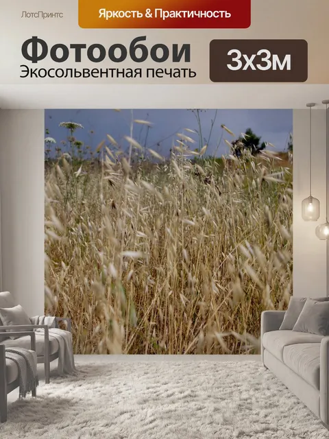 Фотообои Сушеная трава фон