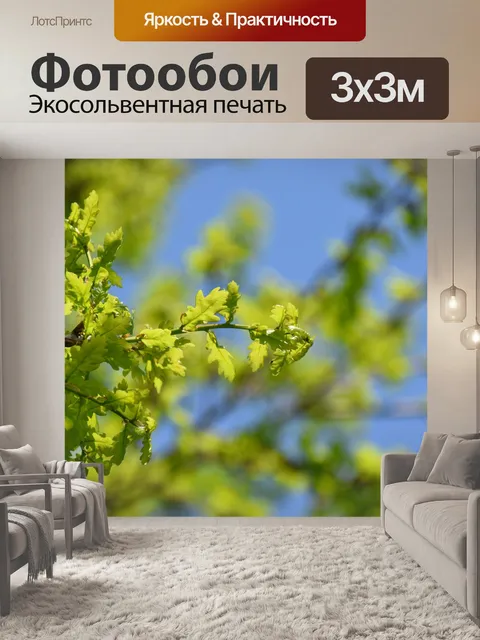 Фотообои Листья дуба