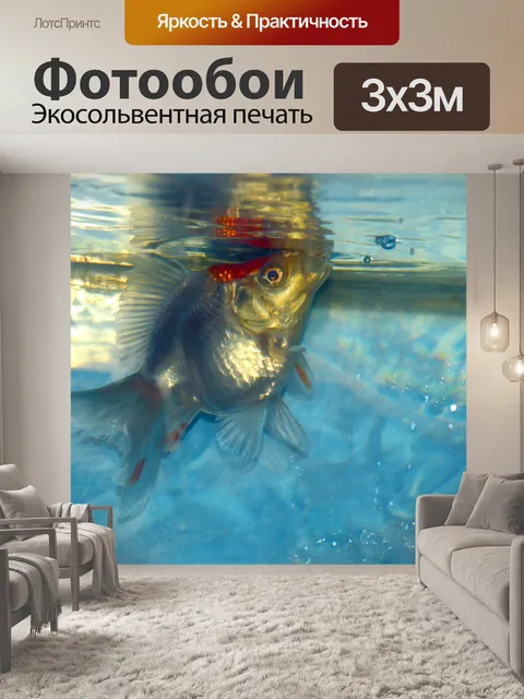 Фотообои Белый Ryukin Золотая рыбка