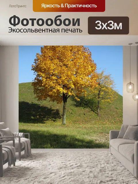 Фотообои Деревья
