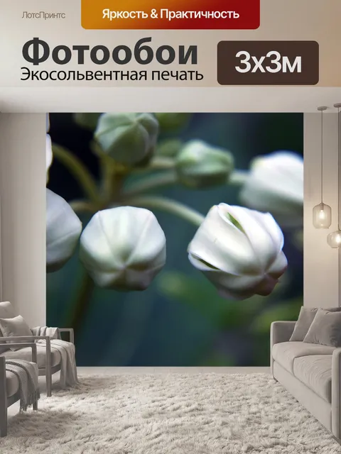 Фотообои Бутоны