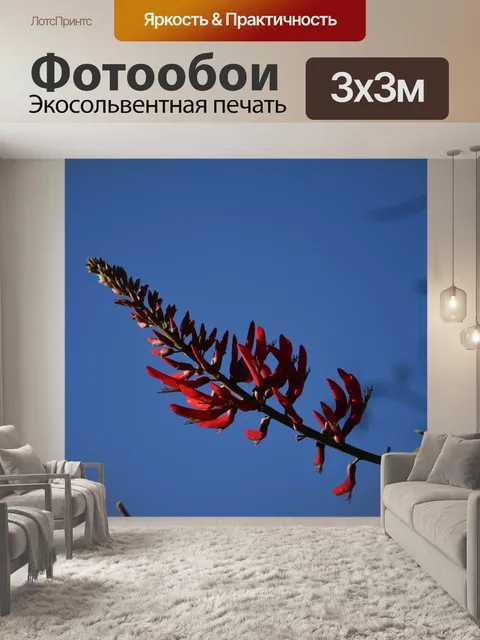 Фотообои Ракетные форме цветов