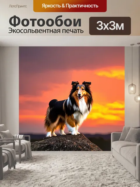 Фотообои шелти, стоящий на скале под ярким закатным небом