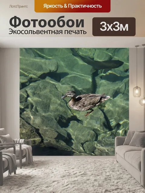 Фотообои Озеро