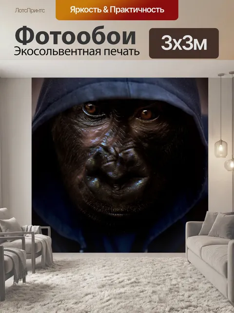 Фотообои Обезьяна с капюшоном