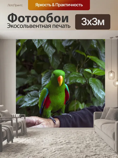 Фотообои Электус Попугай