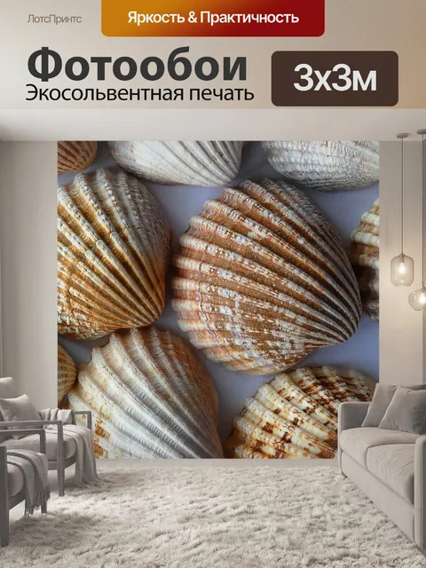 Фотообои Морские раковины крупным планом
