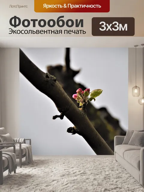 Фотообои Яблоневый цвет